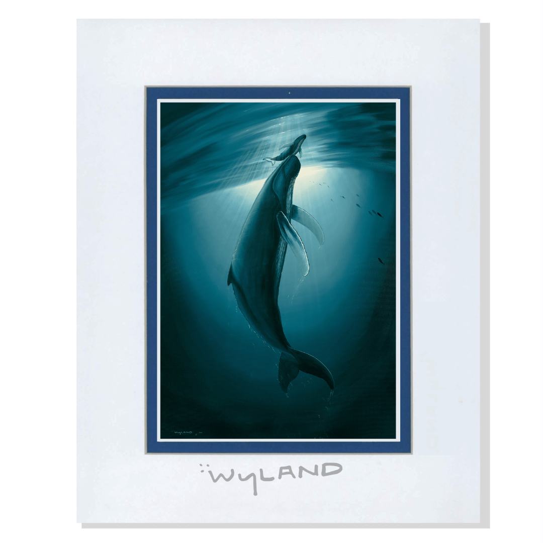 Wyland Art Whales The First Breath