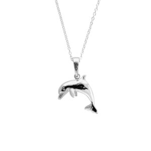 a silver dolphin charm necklace