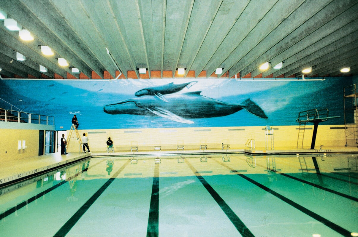 WW 25 “Humpbacks”