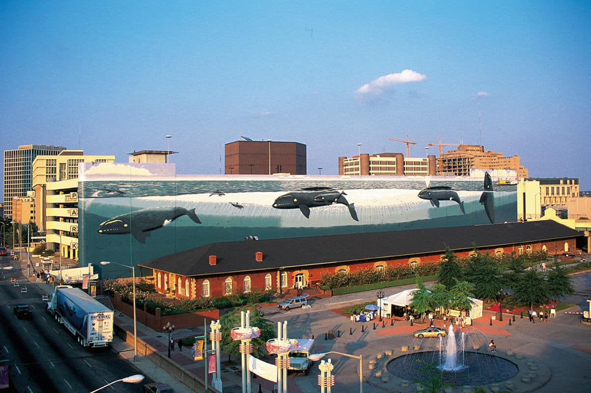 WW 50 “Atlanta’s Right Whales”