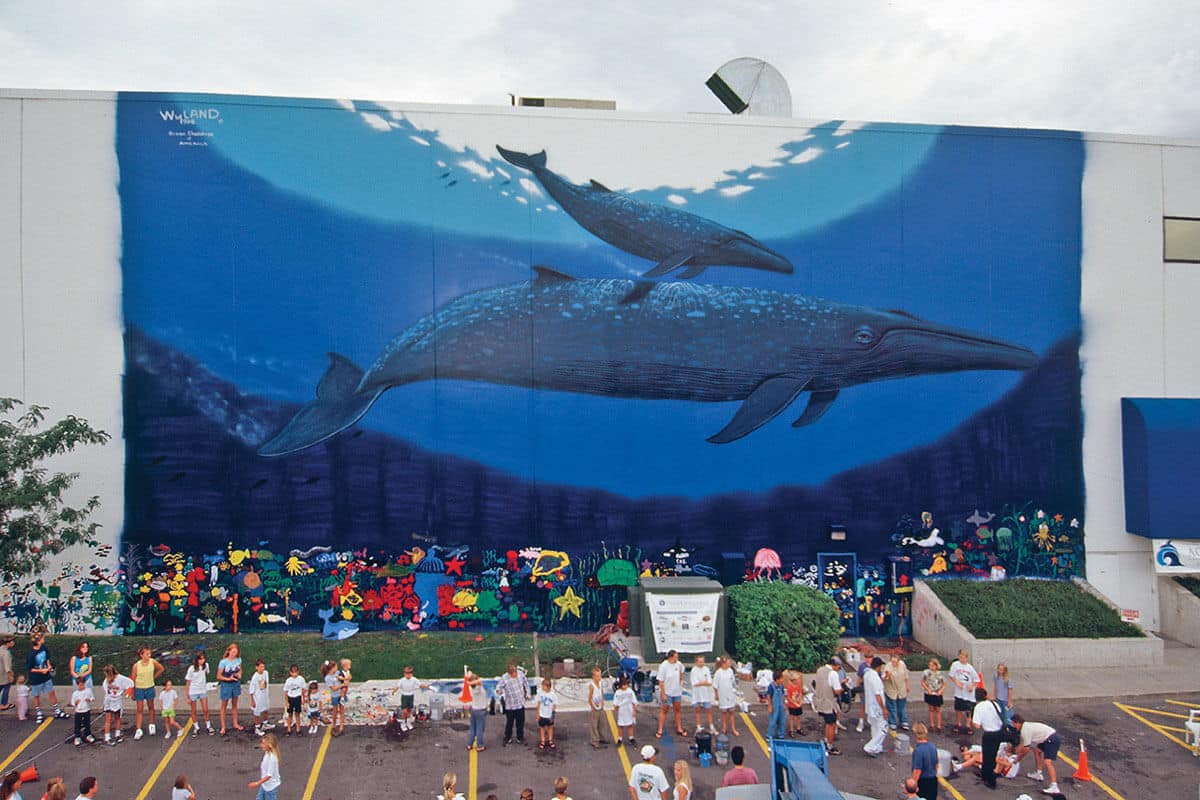 WW 80 “World of Ocean Life”