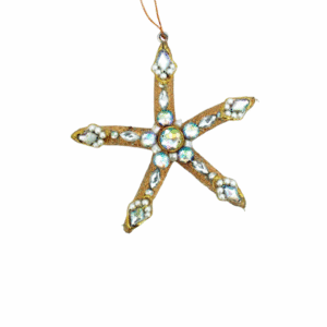 Dazzling Marine Life Inspired Holiday Ornaments - Star Fish