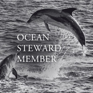 Ocean Steward Member Cover Photo